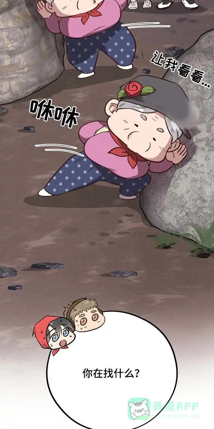 《哈尼熊》第69话 第31页