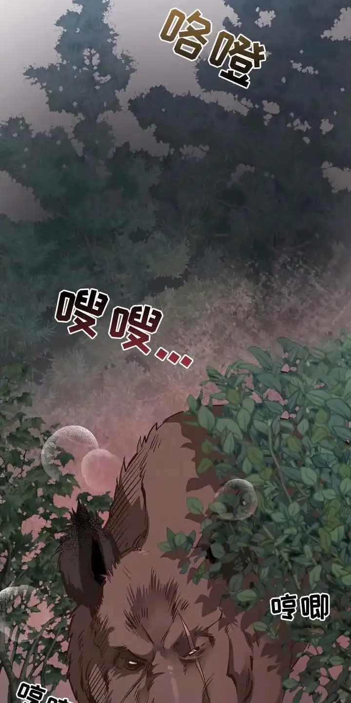 《哈尼熊》第70话 第15页