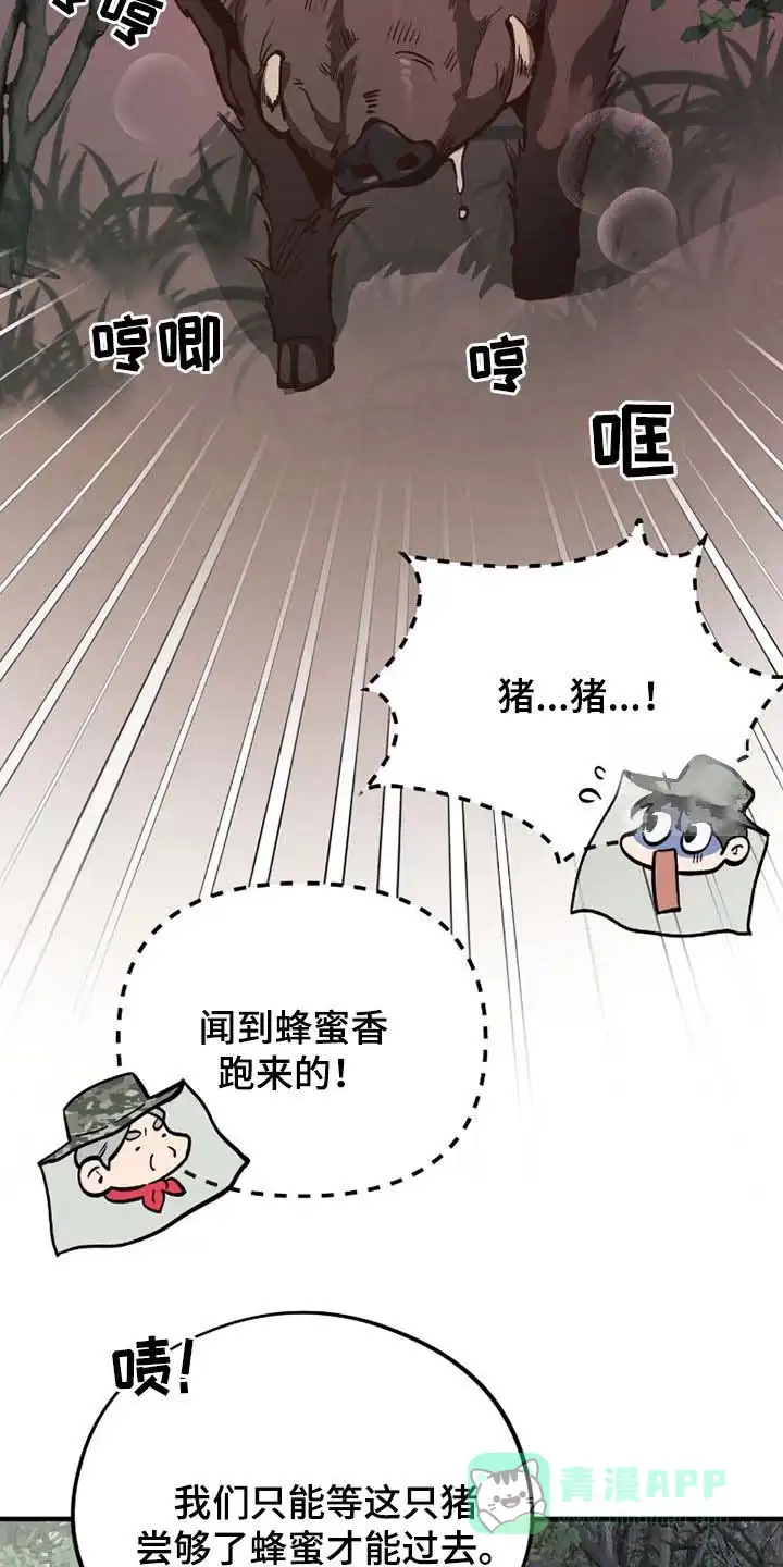《哈尼熊》第70话 第16页
