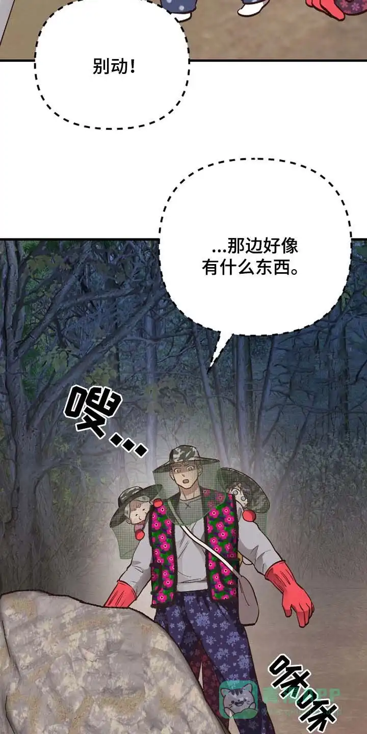 《哈尼熊》第70话 第11页
