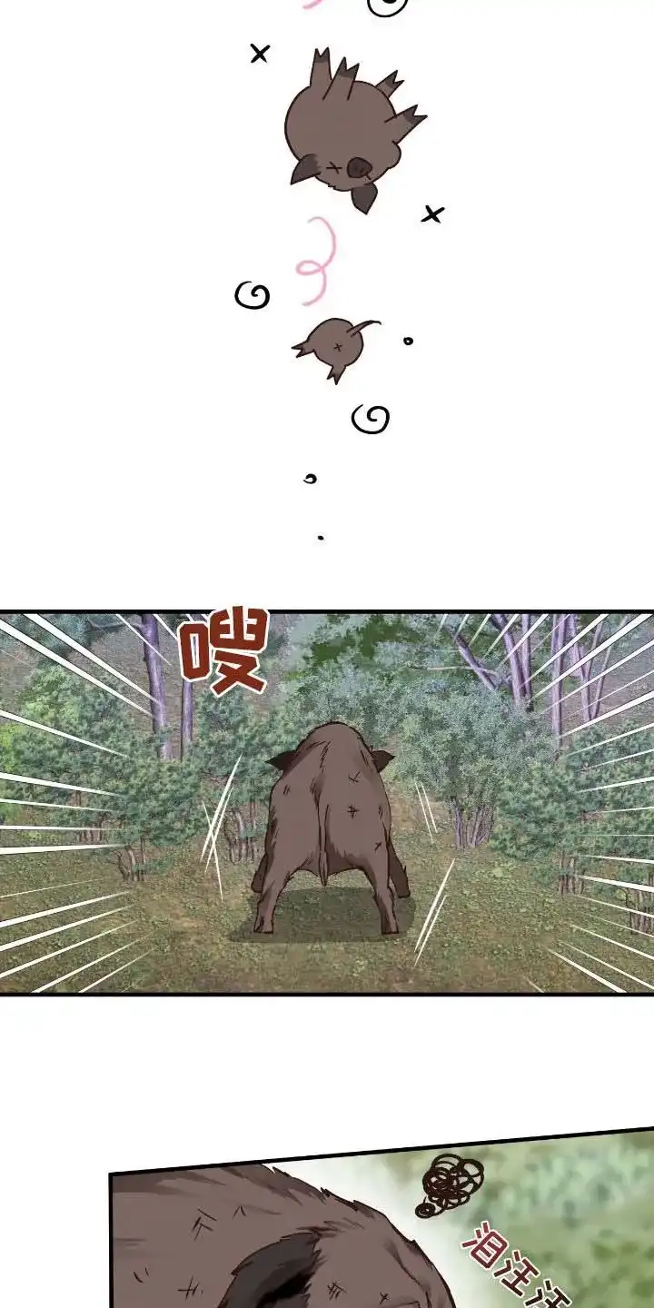 《哈尼熊》第71话 第7页