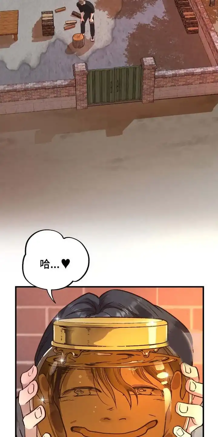 《哈尼熊》第71话 第19页