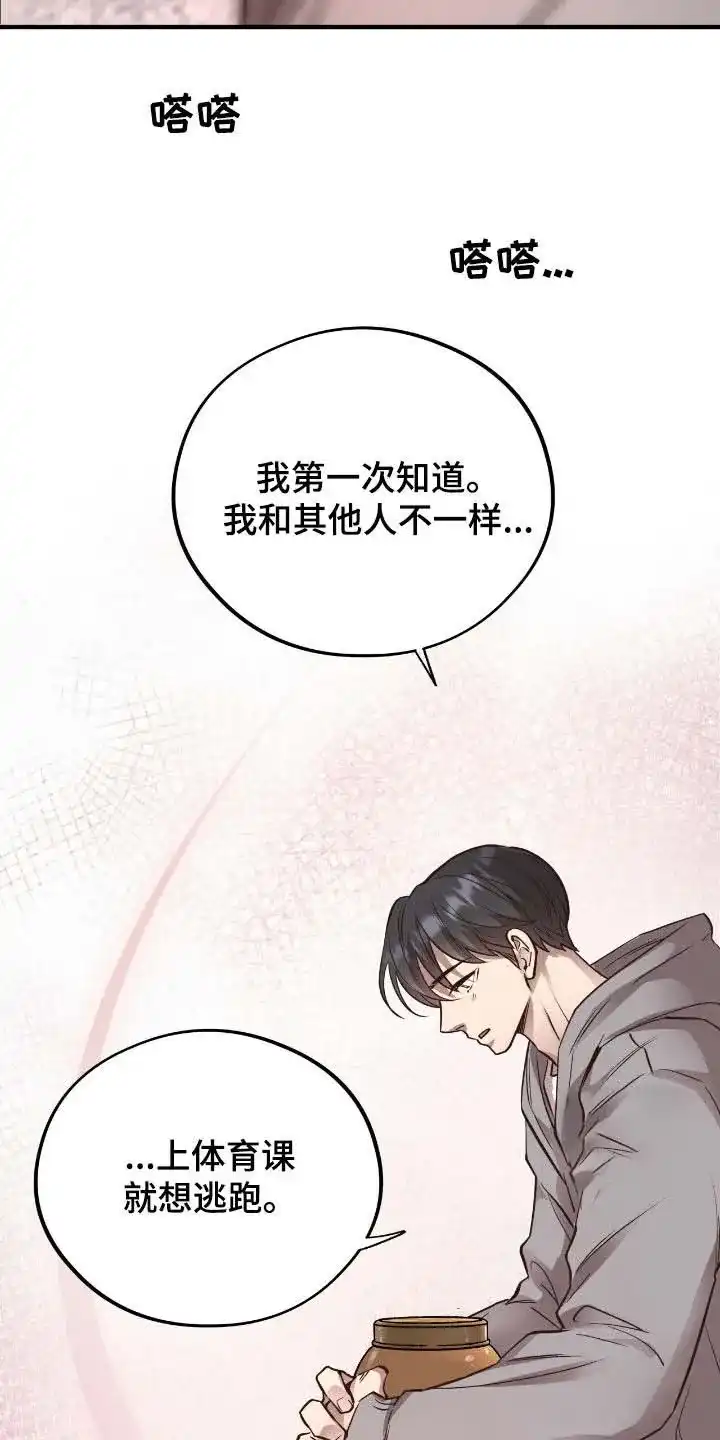 《哈尼熊》第71话 第33页