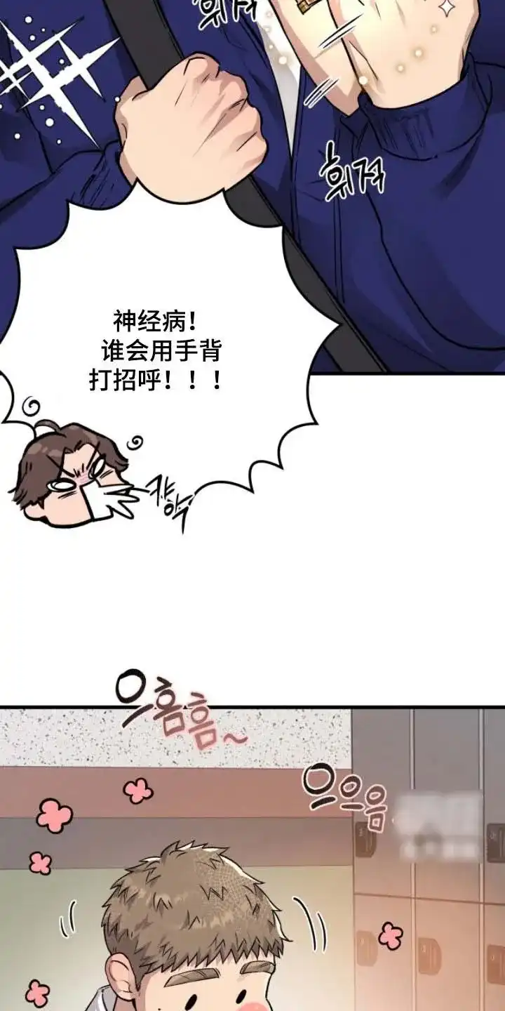 《哈尼熊》第79话 第12页