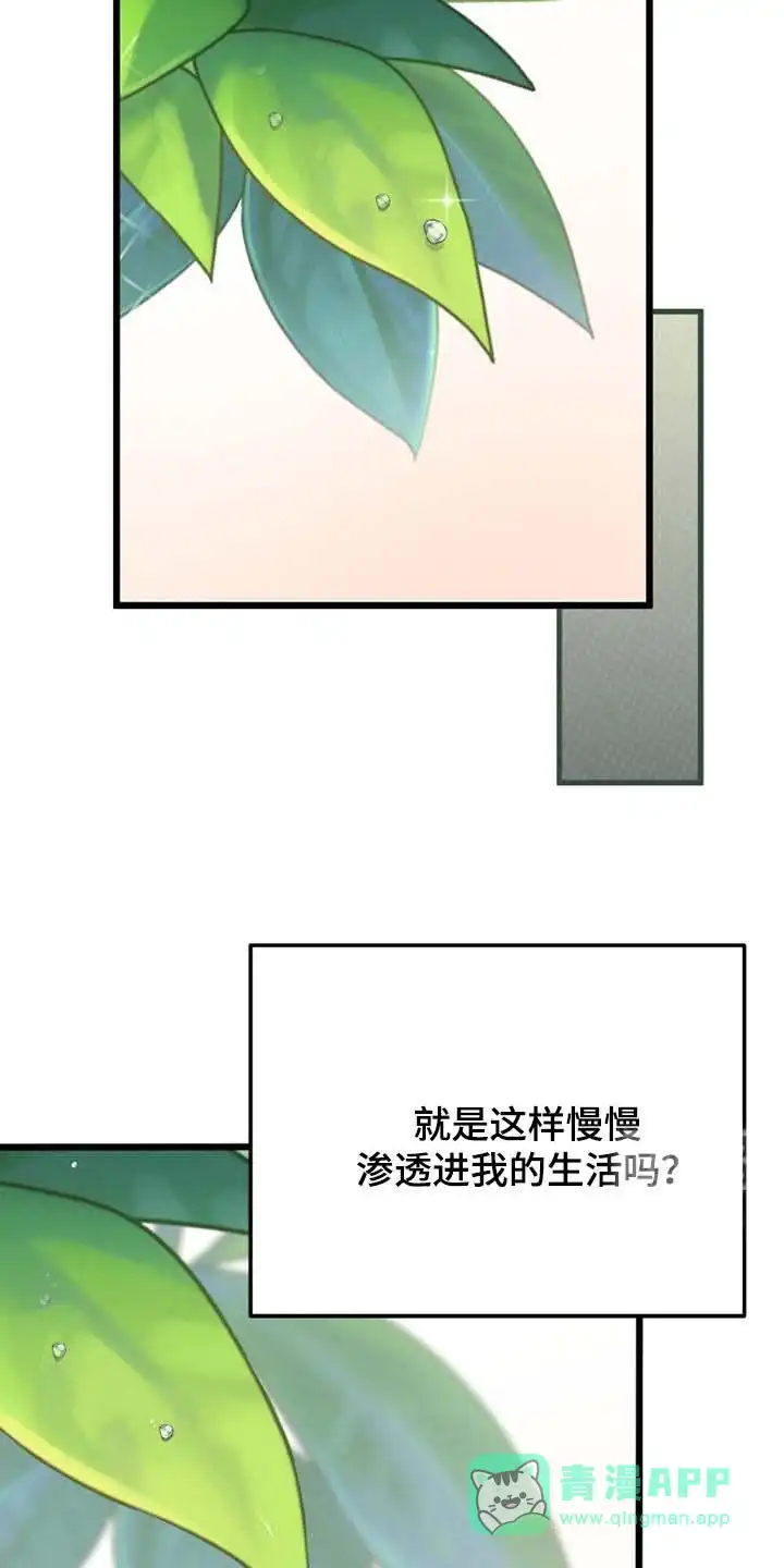 《哈尼熊》第82话 第36页