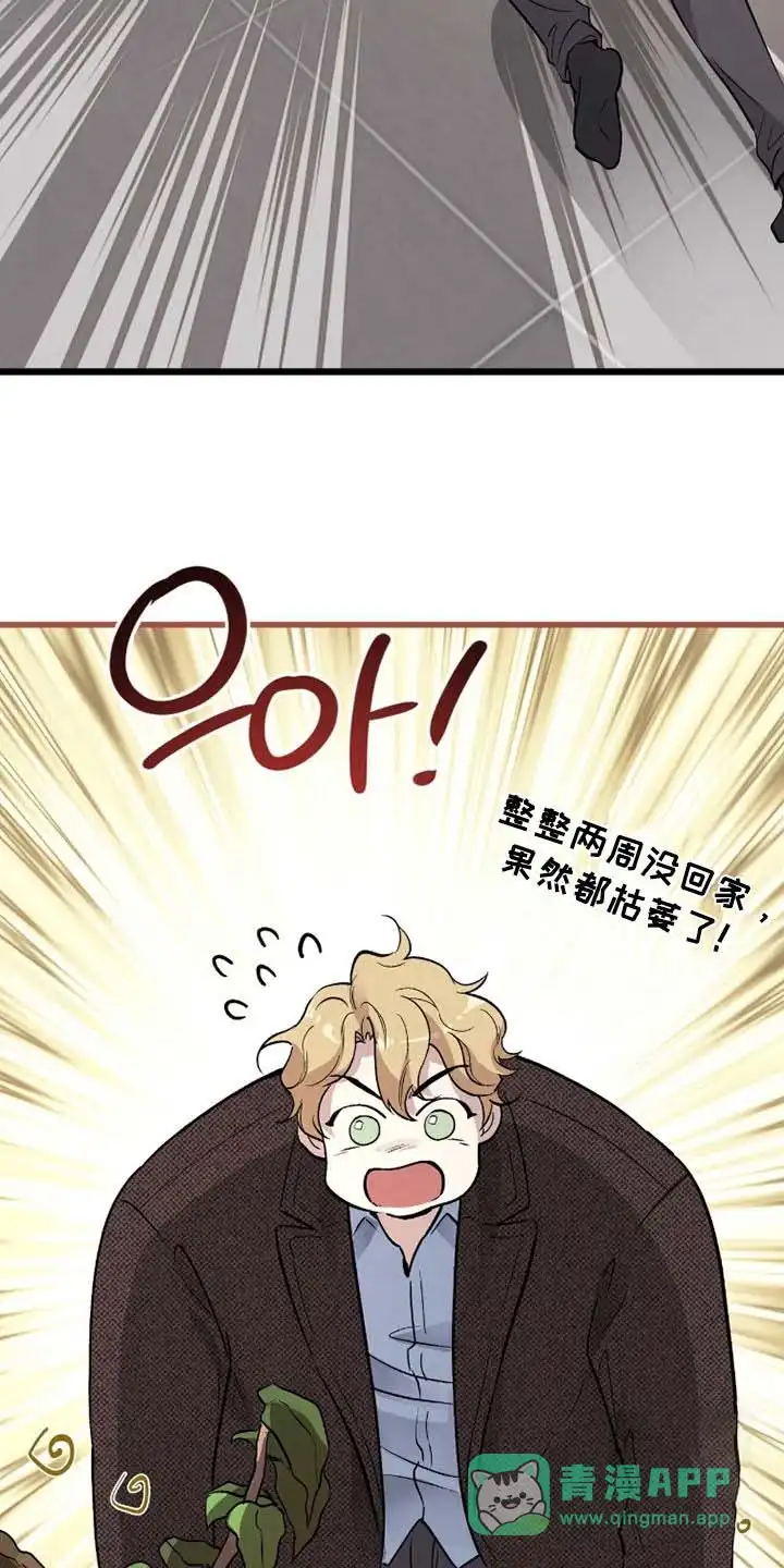 《哈尼熊》第82话 第16页