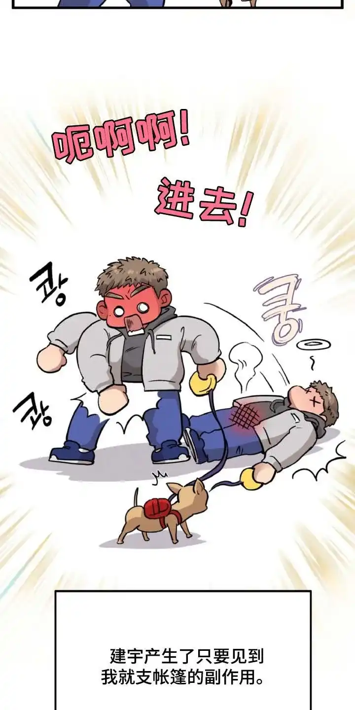 《哈尼熊》第83话 第27页