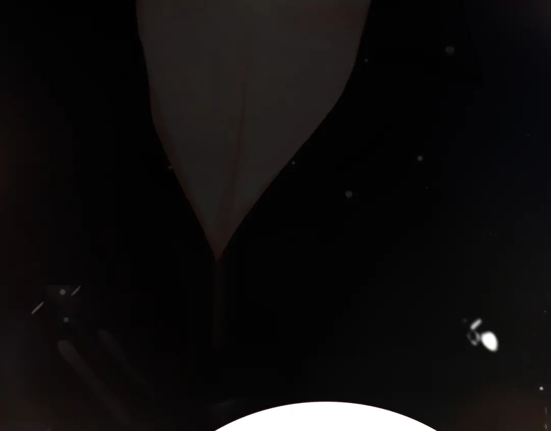 《好一个乖乖女》026 约定 第142页