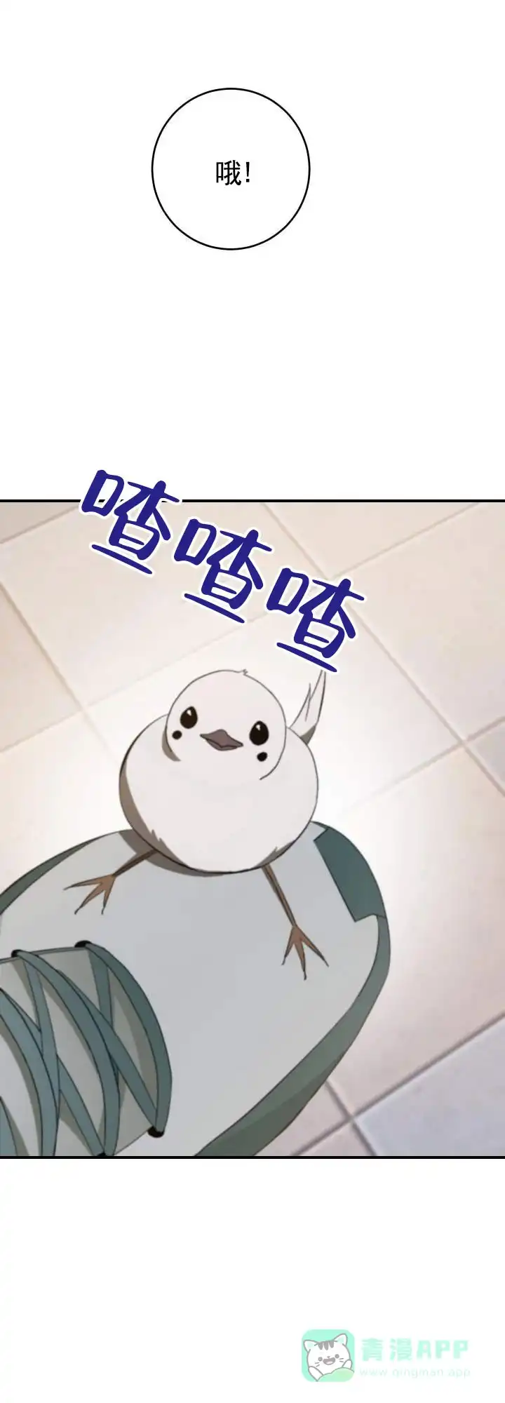 《合法情人》第12话 第1页