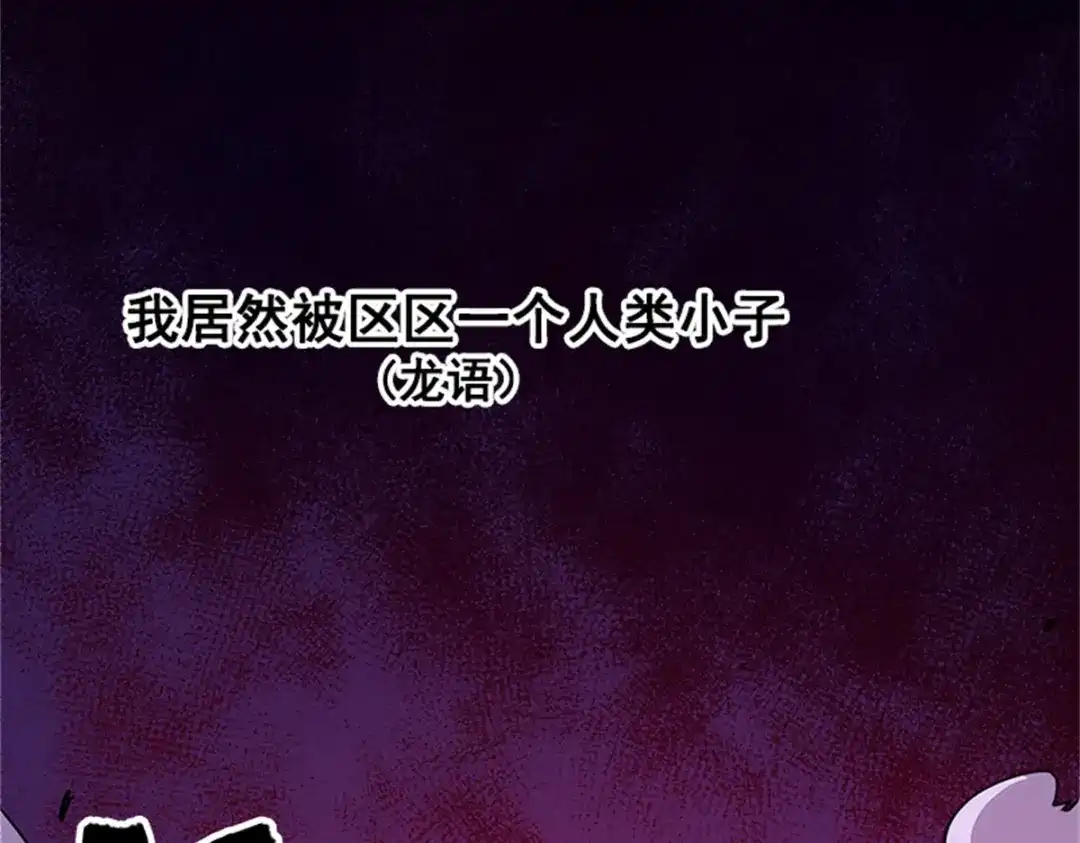 《黑白双龙》1-008 黑白双龙 第2页