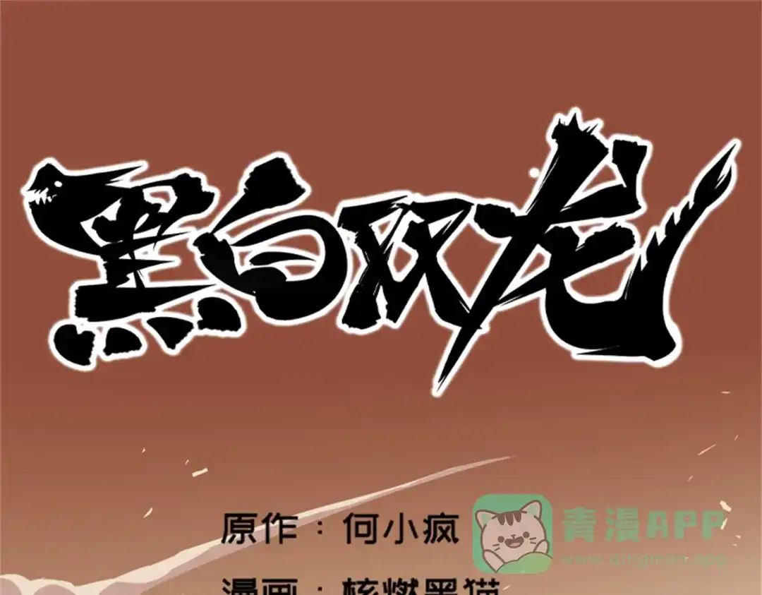 《黑白双龙》2-001 神秘刺客 第1页