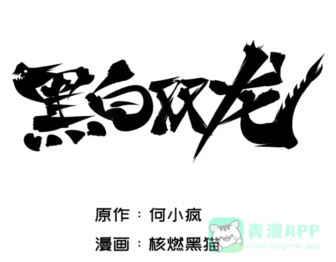 《黑白双龙》2-002以气为引，御刃前行！ 第1页