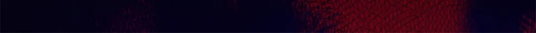 《黑白双龙》2-006 决心 第4页