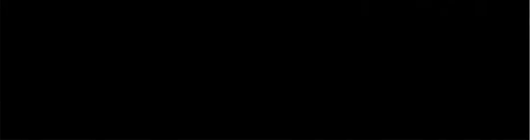 《黑白双龙》番外3：预祝新春快乐！ 第364页