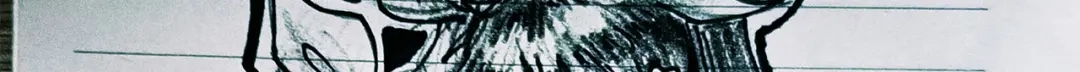 《黑白双龙》番外13：期待再次相见 第51页