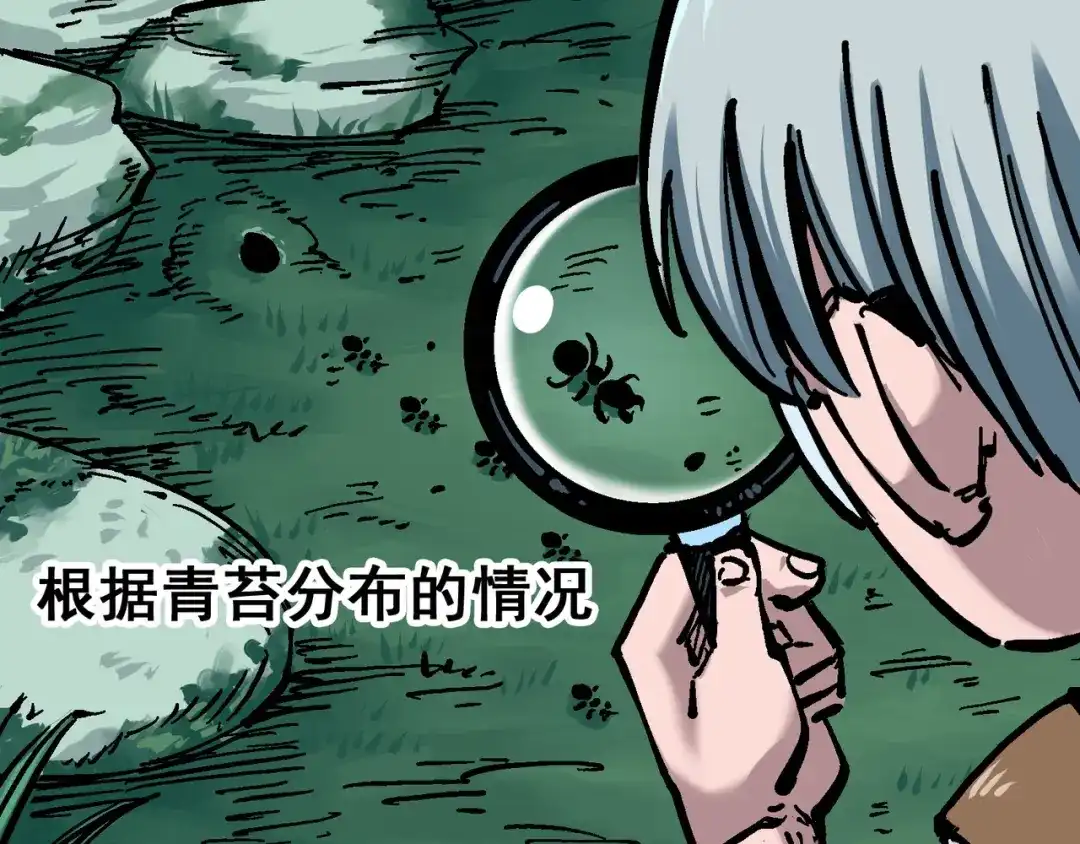 《黑白双龙》6-001 莫浪与白其 第50页