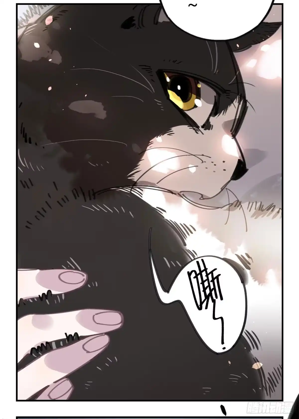 黑白有常 被丢弃的猫 第8页