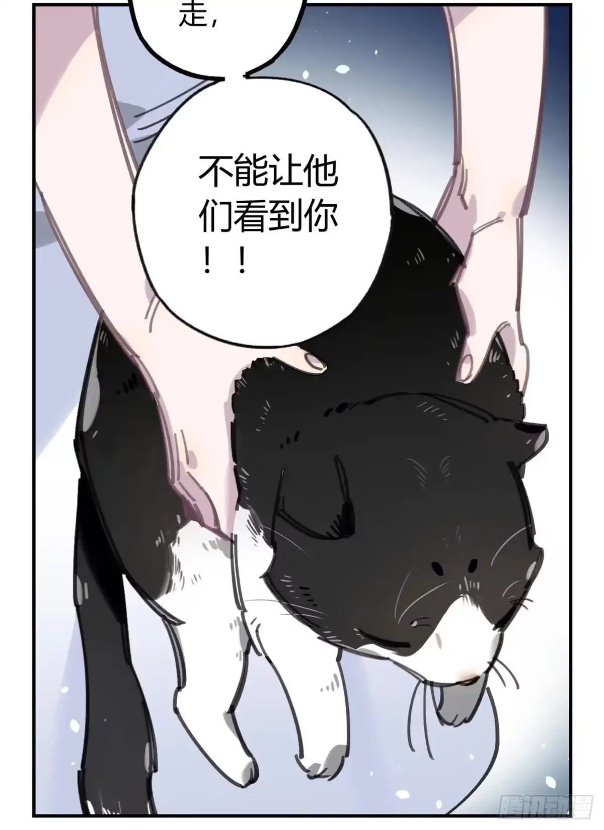 黑白有常 被丢弃的猫 第14页