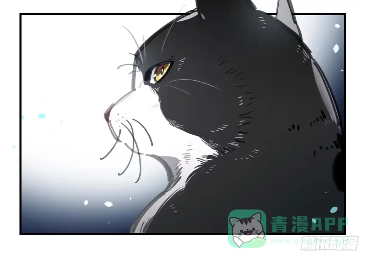 黑白有常 被丢弃的猫 第16页