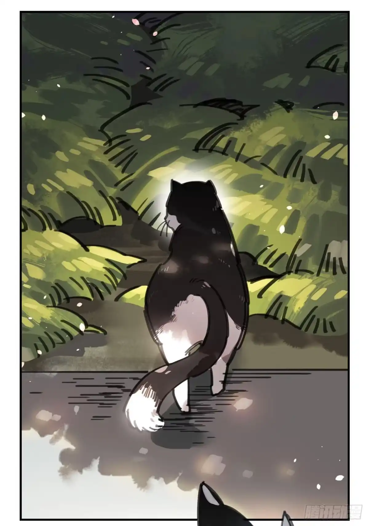 黑白有常 被丢弃的猫 第15页