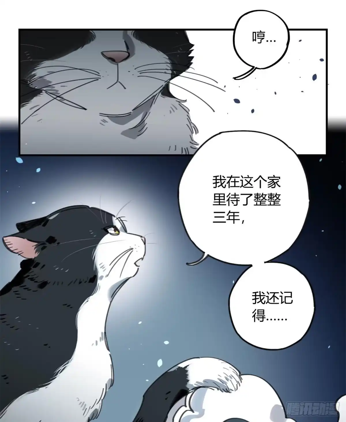 黑白有常 我要留在这里 第15页