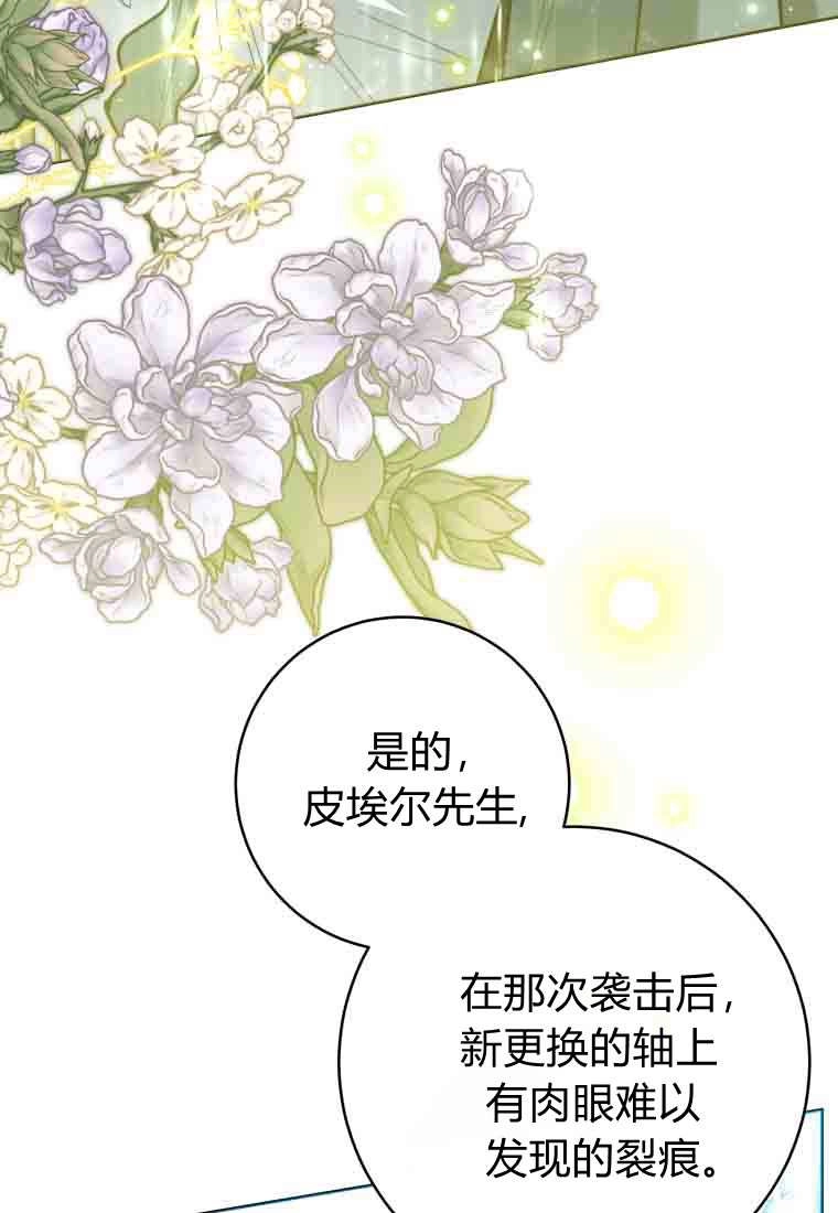 黑幕虎鲸宝宝 第51话 第4页