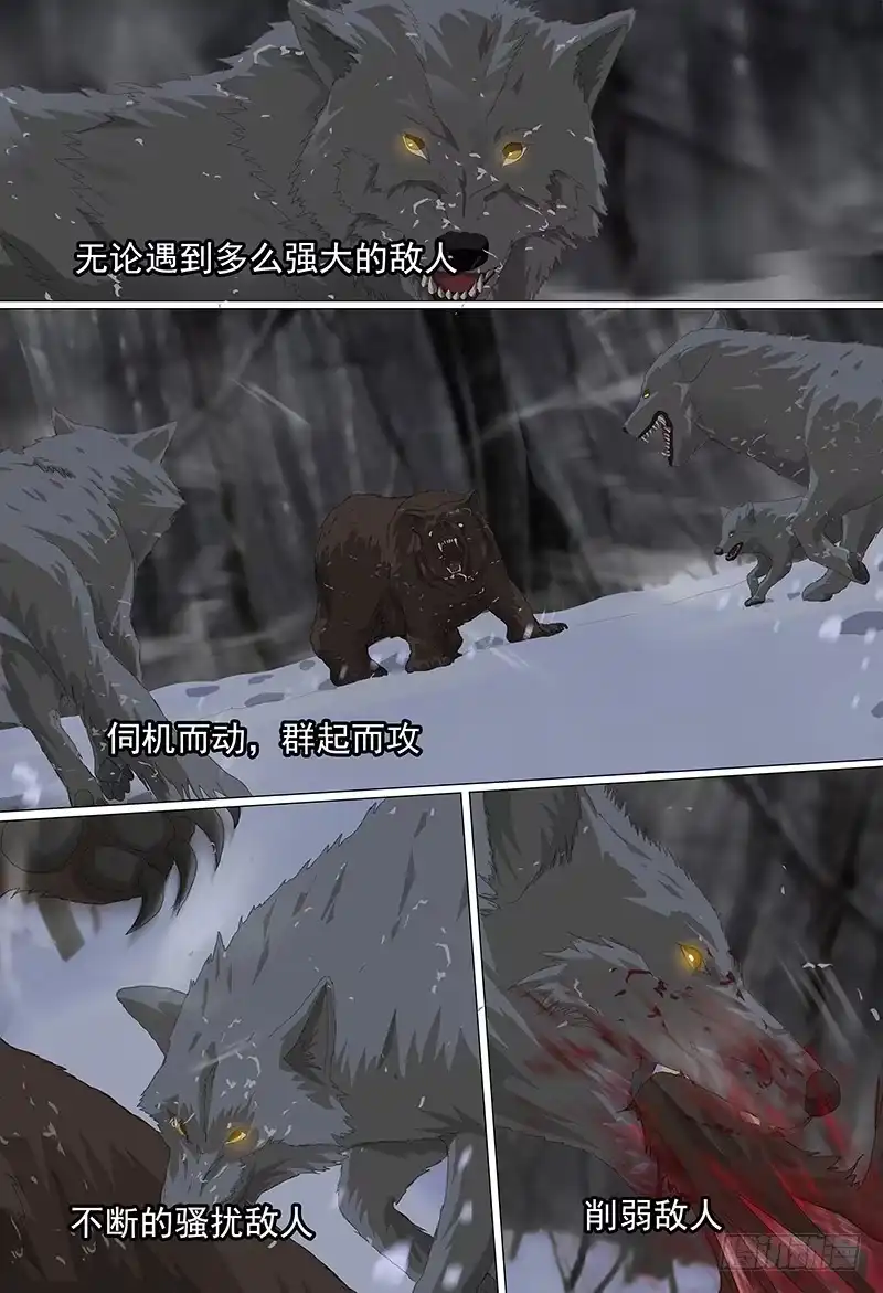 黑色骑士 第二十话上 狼牙行动 第5页