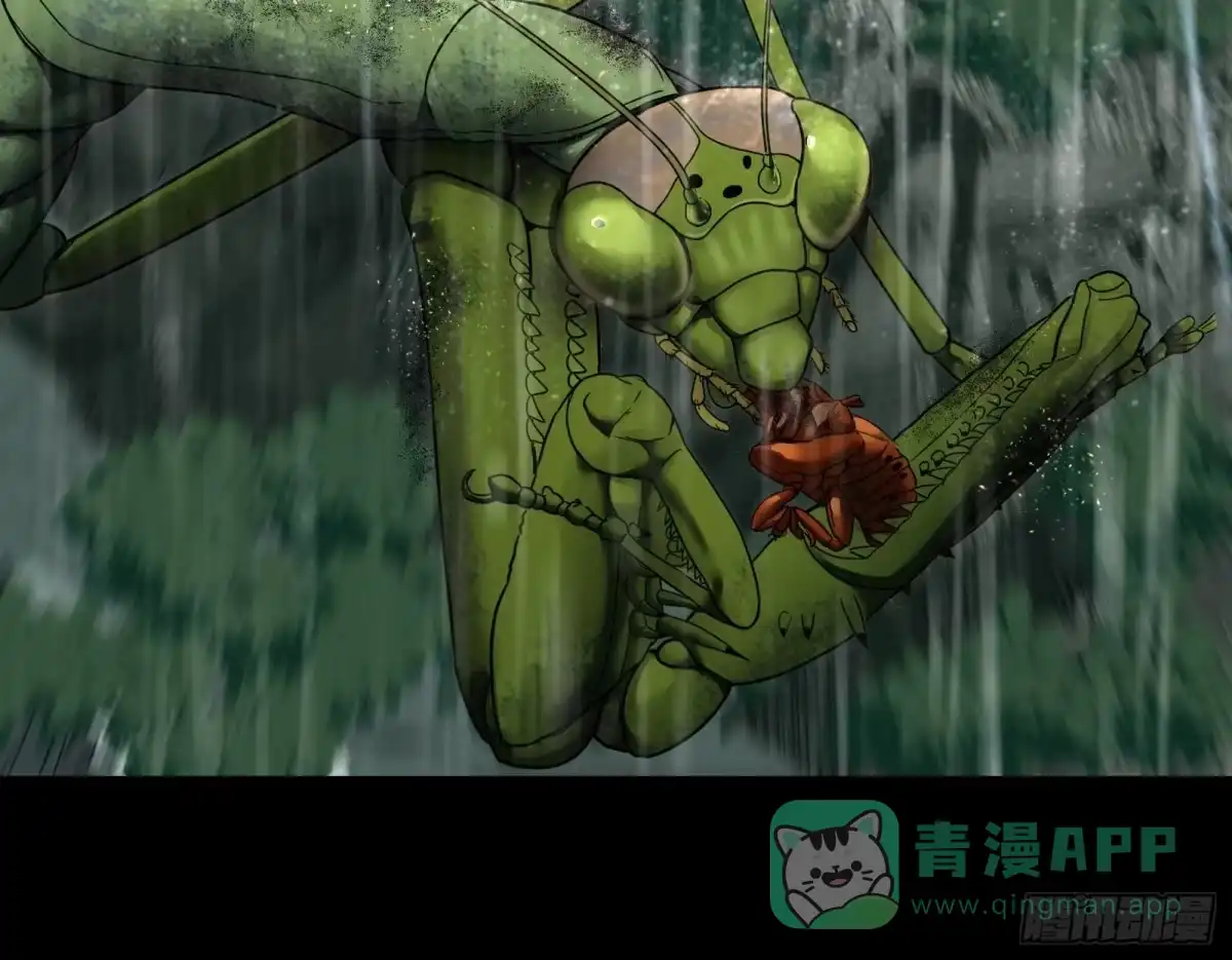 《黑夜虫生》017 下雨天 第31页