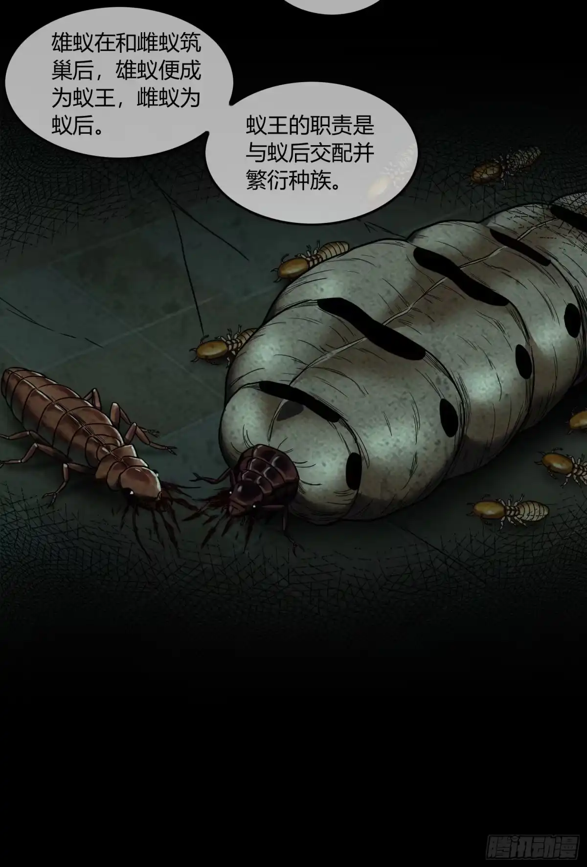《黑夜虫生》039 蚂蚁 第12页