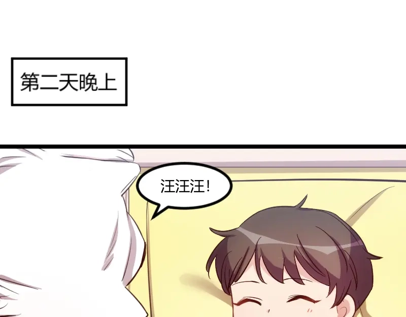 《贺少的闪婚暖妻》番外篇 小宝的弟弟 第41页