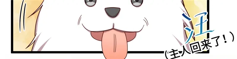 《贺少的闪婚暖妻》第233话 关门放狗 第118页