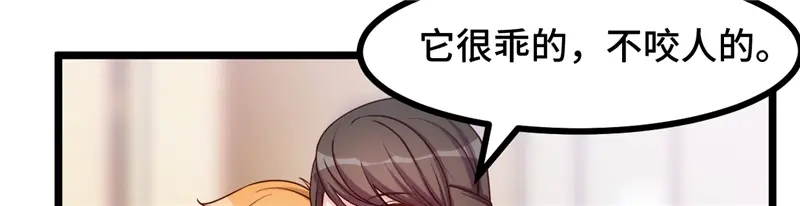 《贺少的闪婚暖妻》第233话 关门放狗 第138页