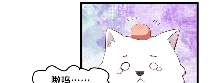 《贺少的闪婚暖妻》第234话 旺财的嘲讽 第7页