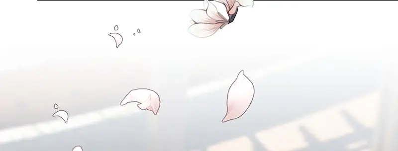 《贺少的闪婚暖妻》第244话 再见前任小姐 第78页