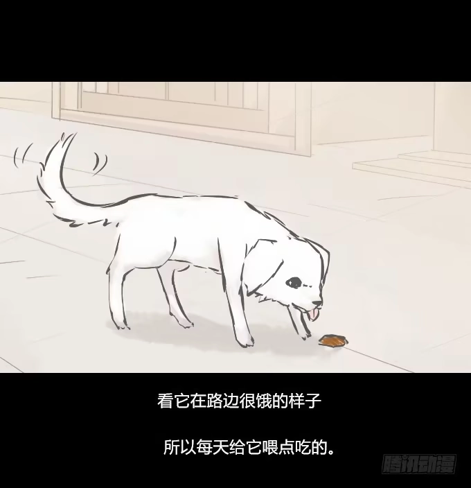 《鹤御九天》番外_滴水之恩 第13页