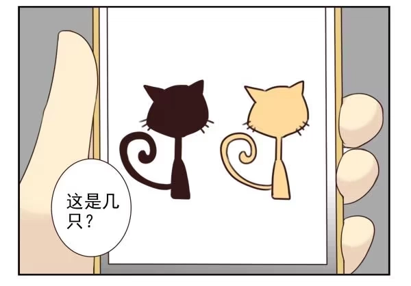合租遇上男闺蜜 第三季11-12：那只白猫 第11页