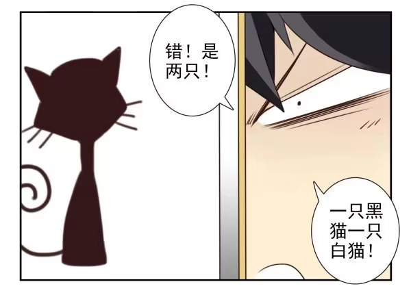合租遇上男闺蜜 第三季11-12：那只白猫 第9页