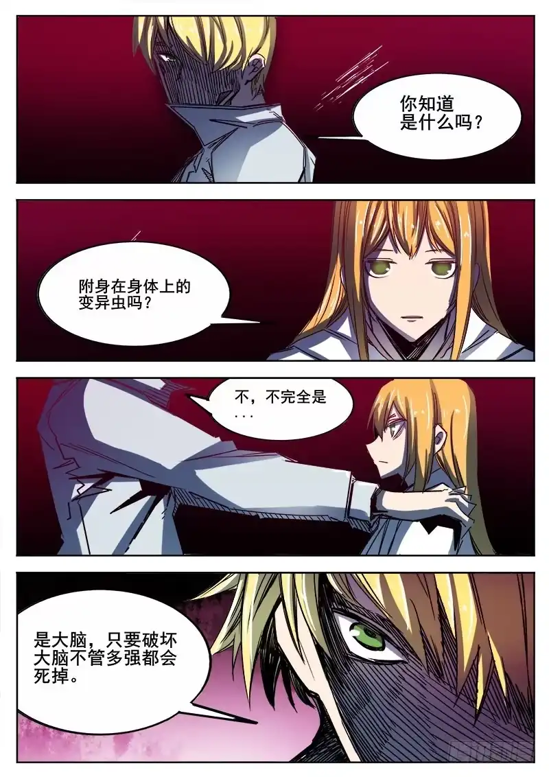 红雾 329 失败 第5页