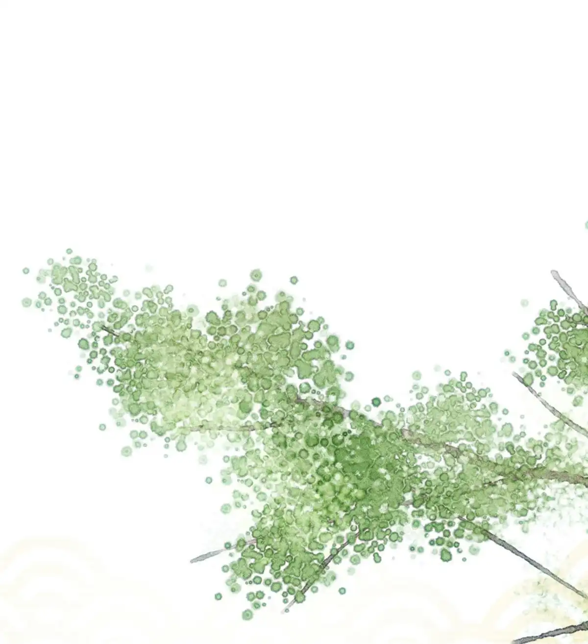 《侯门少爷宠上天》第8回 侯门少爷宠上天 第1页