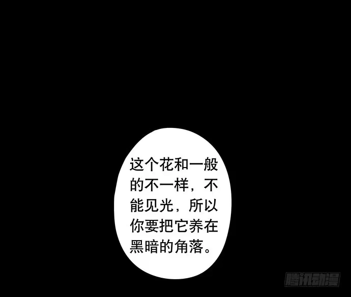 画诡 花-1 第57页