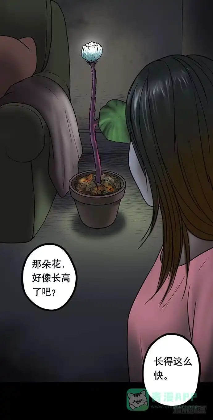 画诡 花-2 第26页
