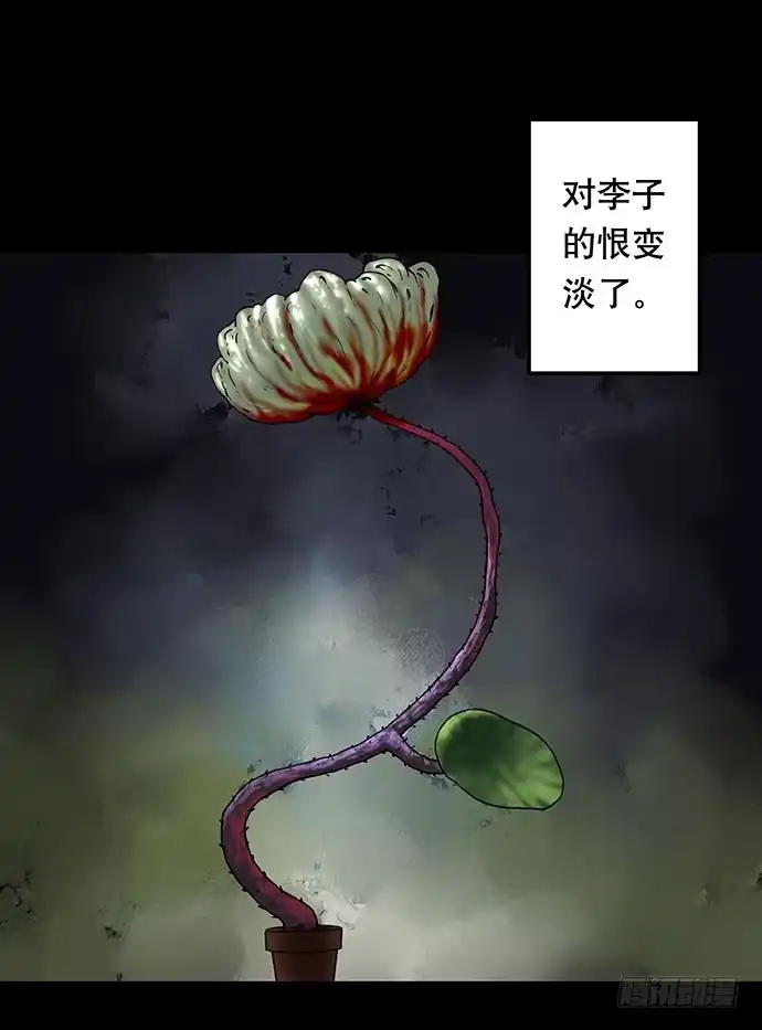 画诡 花-3 第37页