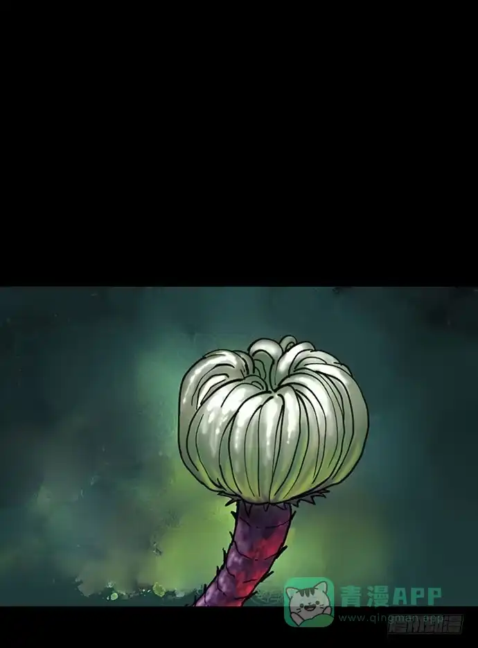 画诡 花-3 第1页