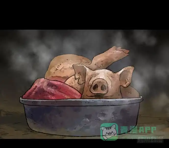 画诡 半片猪-上 第11页