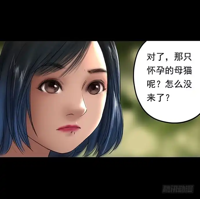 画诡 猫-1 第12页
