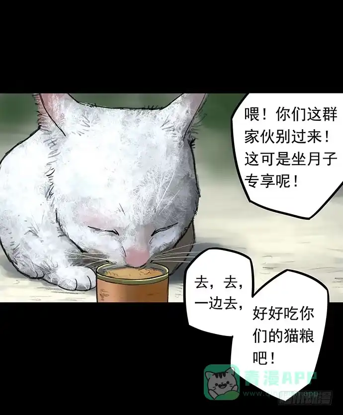 画诡 猫-1 第21页