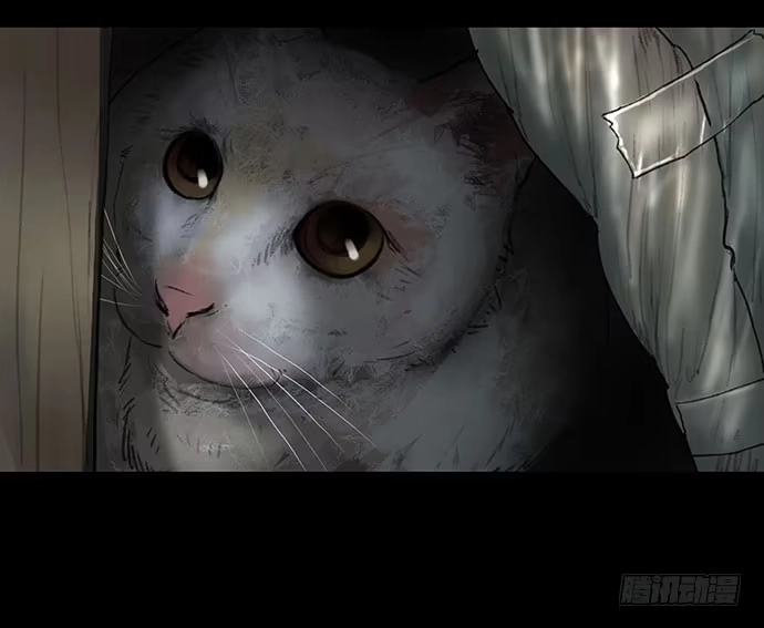 画诡 猫-1 第38页