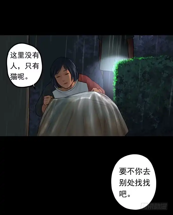 画诡 猫-1 第37页