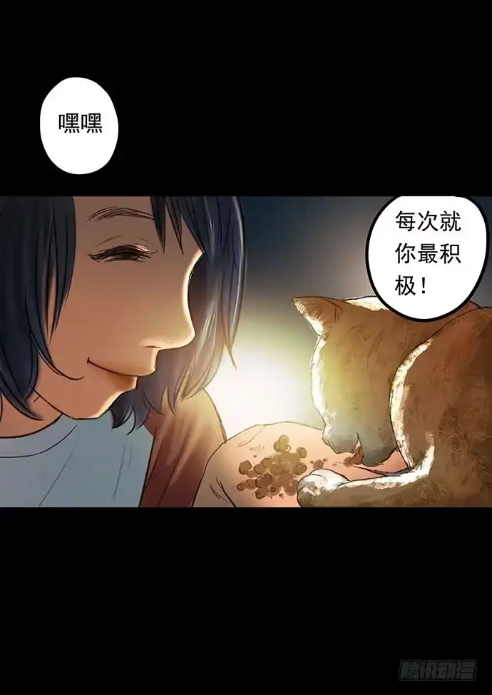 画诡 猫-1 第49页