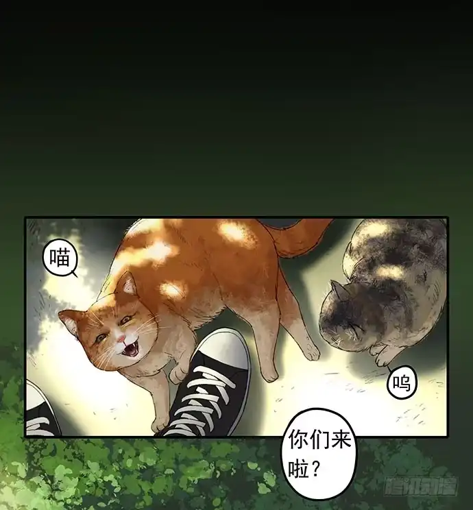 画诡 猫-1 第2页